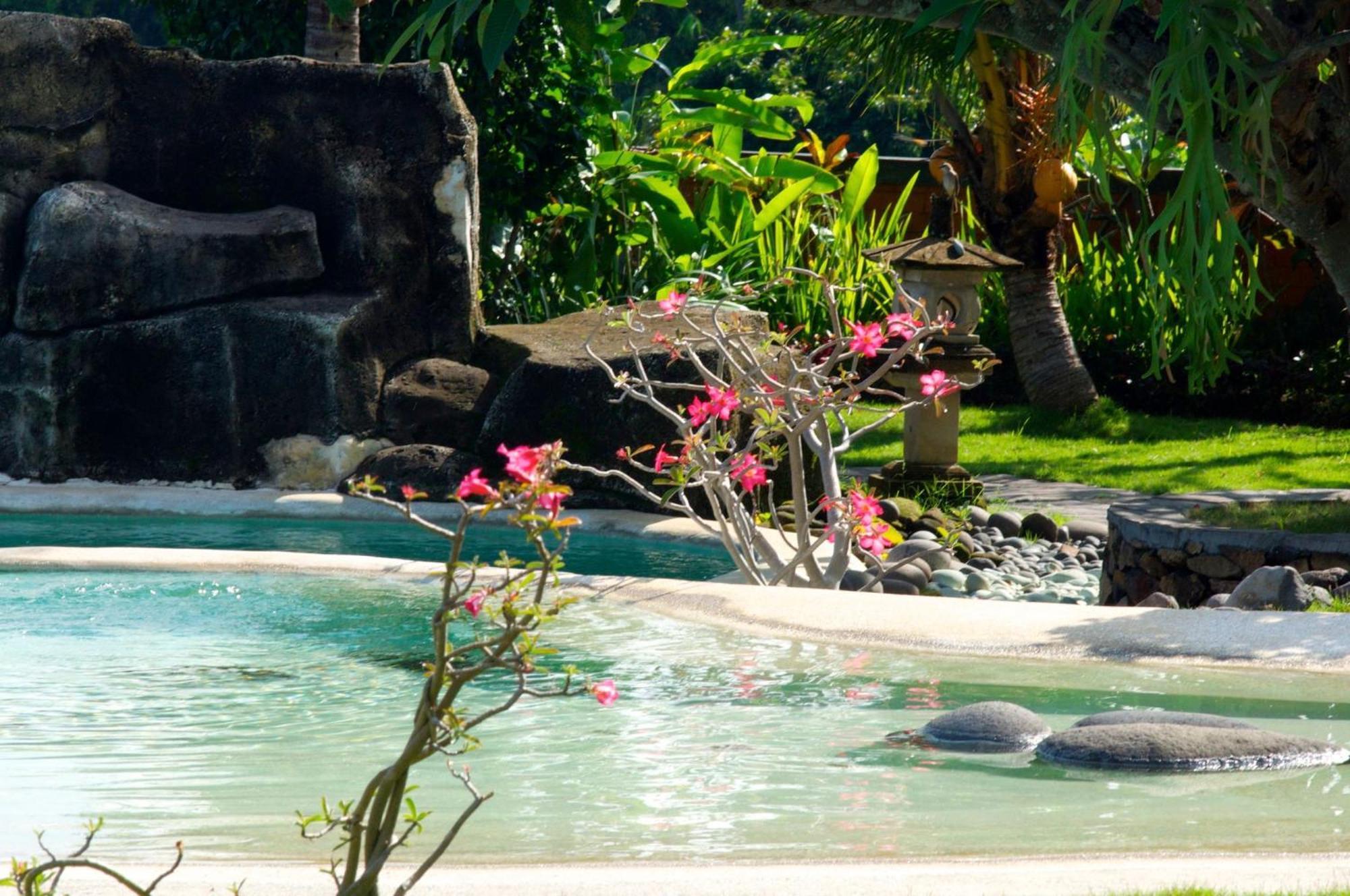 Villa Bali Pondok Jepang Lovina  Exterior photo